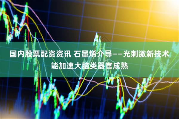 国内股票配资资讯 石墨烯介导——光刺激新技术能加速大脑类器官成熟